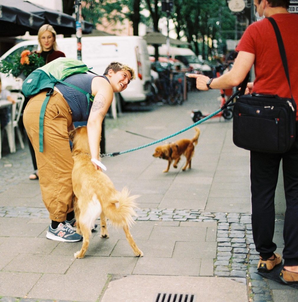 petting dogs in Germany