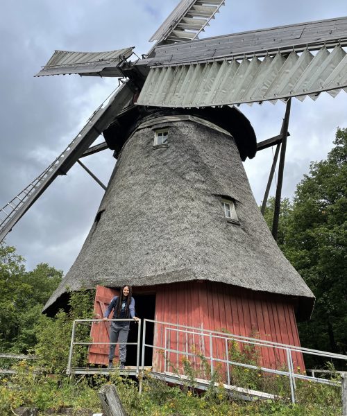 german wind mill